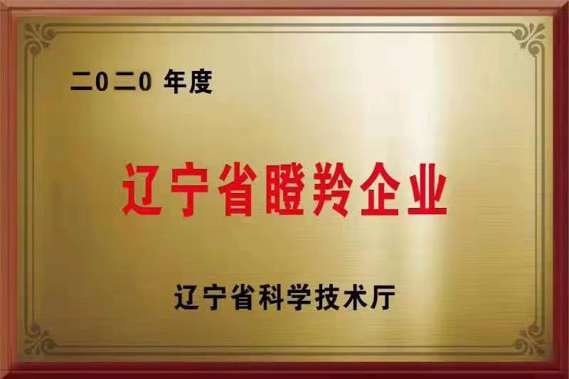 海为公司荣获“2020年辽宁省瞪羚企业”